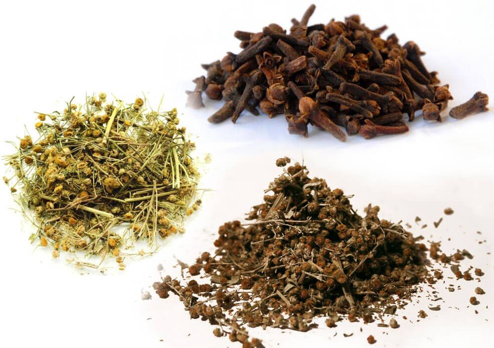 Ajenjo, tanaceto y clavo para desparasitar