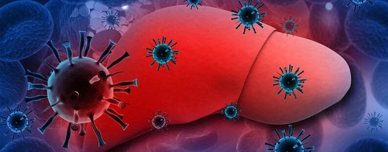 La presencia de parásitos en el cuerpo provoca hepatitis.