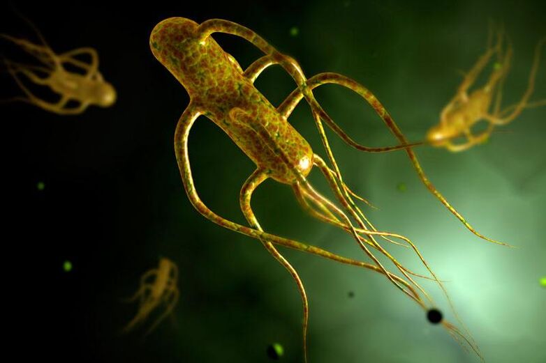 La salmonella vive en el intestino humano.